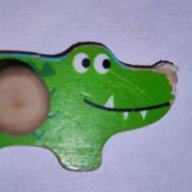 Pan Krokodyl