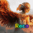 Reco - Paczo121